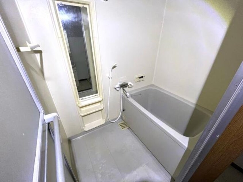  プロニティ　マイス