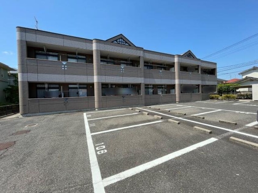  プロニティ　マイス