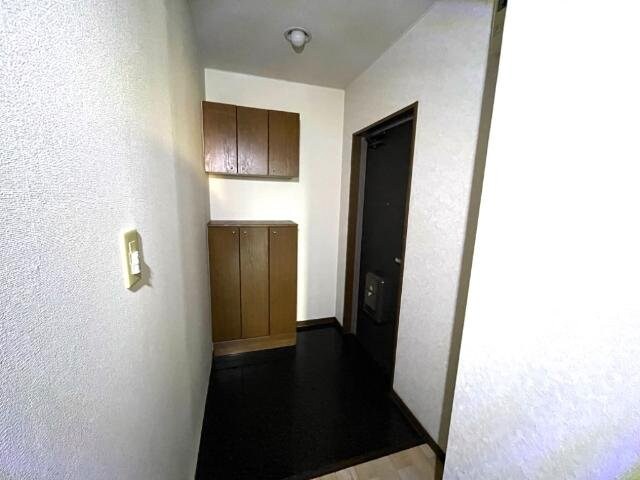  プロニティ　マイス