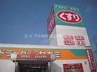 ドラッグセガミ原尾島店(ドラッグストア)まで674m レジデンス原尾島　Ｅ棟