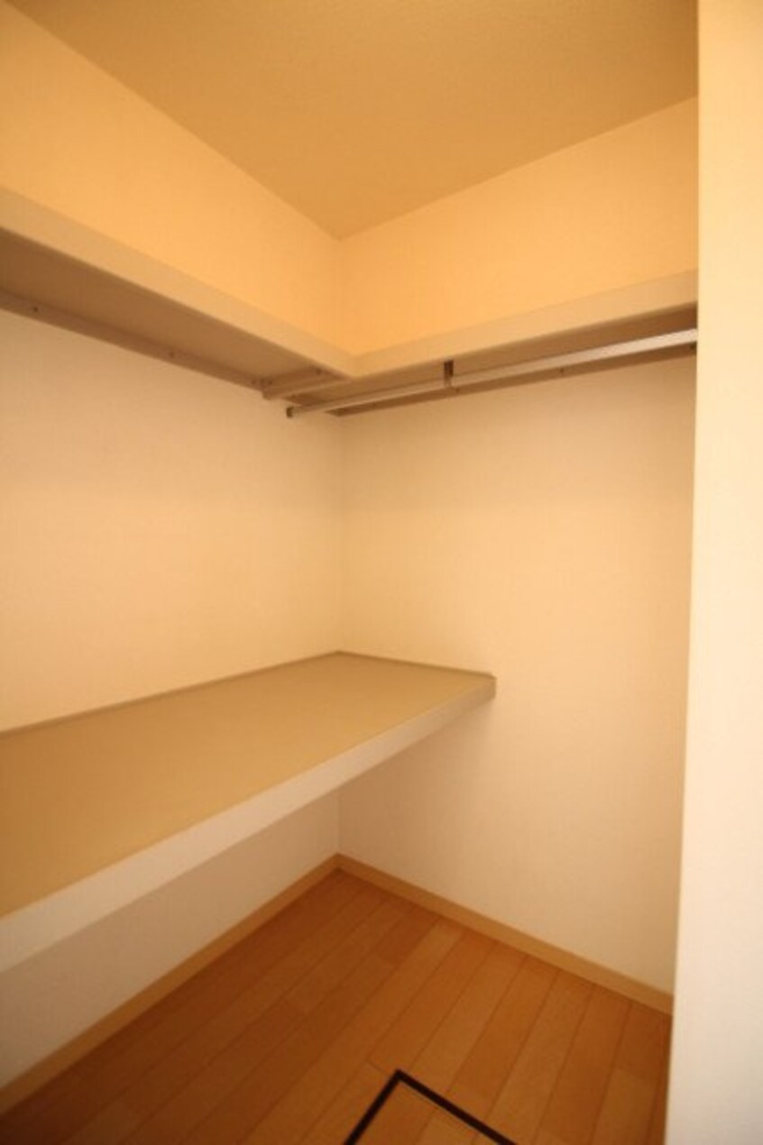  ディアスフクイ