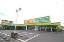 タマヤ 豊成店(スーパー)まで815m レクサス　ソレイユ