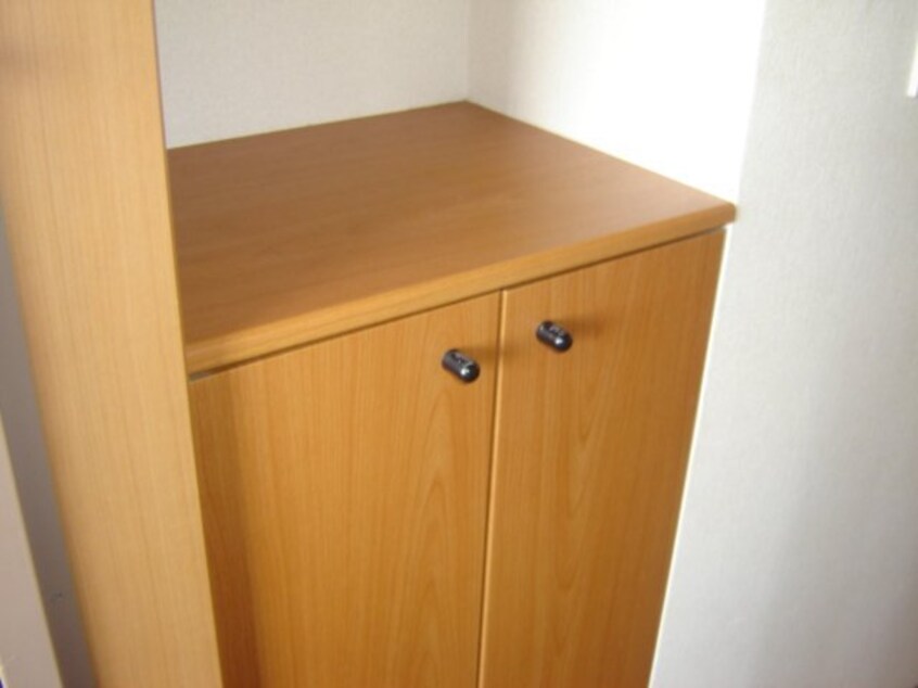 収納 アルカディア