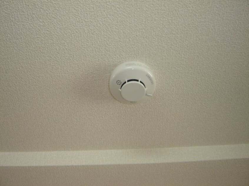 その他 アルカディア