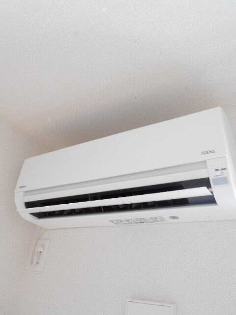  ショコラ　オリーブ