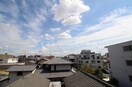  シャトレハイツ今村