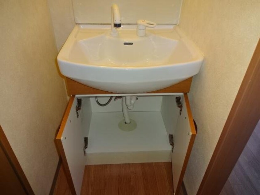 洗面 パッシオ　デウス