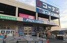 コーナンPRO高柳店(電気量販店/ホームセンター)まで890m ヴィーナスコート島田本町