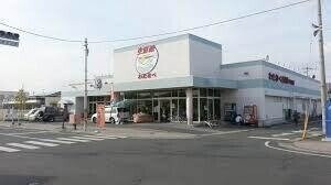 わたなべ生鮮館下中野店(スーパー)まで694m COCO西市