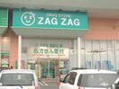 ザグザグ江崎店(ドラッグストア)まで1460m アリエッタ