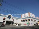 わたなべ生鮮館庭瀬店(スーパー)まで2377m アルトハイデⅡ　Ｃ棟