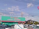 ドラッグコスモス福浜店(ドラッグストア)まで545m 福富東戸建