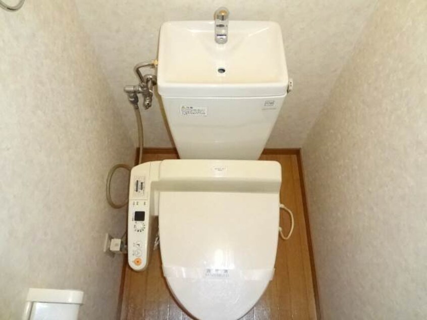  チェリーテラス