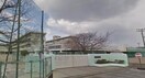 岡山市立芳泉小学校(小学校)まで1755m アリアキャメルⅡ