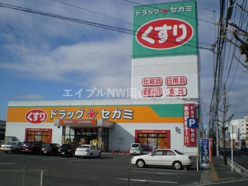 ドラッグセガミ原尾島店(ドラッグストア)まで1456m グレースＭＳＫ（浜戸建賃貸住宅 ）