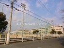 岡山市立大野小学校(小学校)まで956m ルミナスコートＢ