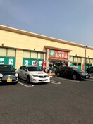 金光薬品当新田店(ドラッグストア)まで587m ディアスリバーサイドＡ棟