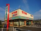 くすりのラブ国立病院前店(ドラッグストア)まで774m ラ・フィオーレⅡ