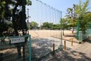 今5丁目公園(公園)まで1234m COCO中仙道