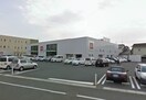 ユニクロ岡山中仙道店(ショッピングセンター/アウトレットモール)まで616m ラフィネパルク