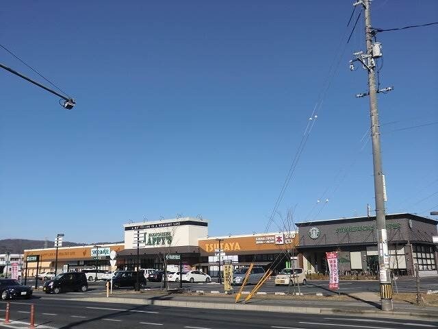 ザ・ダイソー岡山平田店(電気量販店/ホームセンター)まで1059m ラフィネパルク