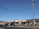 ザ・ダイソー岡山平田店(電気量販店/ホームセンター)まで1059m ラフィネパルク