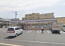 セブンイレブン岡山法界院店(コンビニ)まで666m ソフィア学南町