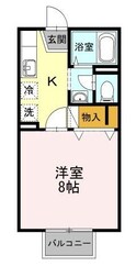 メゾンたちばな C棟の間取図
