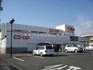 コープ大野辻(スーパー)まで1108m マルベリー　Ｂ棟
