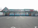 くすりのラブ大安寺店(ドラッグストア)まで613m マルベリー　Ｂ棟