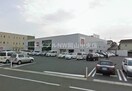 ユニクロ岡山中仙道店(ショッピングセンター/アウトレットモール)まで1106m マルベリー　Ｂ棟