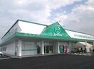 ザグザグ白石店(ドラッグストア)まで1146m ベリーオーライＢ