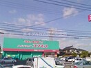 ドラッグコスモス福浜店(ドラッグストア)まで126m シャリテホサキ