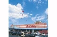 山陽マルナカ 東岡山店(スーパー)まで877m ラ・パーチェ　ナガオカＦ