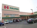 ハローズ東古松店(スーパー)まで368m パープルメゾン弐番館