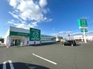 ザグザグ豊成店(ドラッグストア)まで669m ジャンティーユⅡ　Ａ棟