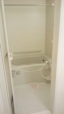  プリムローズ白石