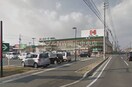 ハローズ岡南店(スーパー)まで332m グランメゾン福成