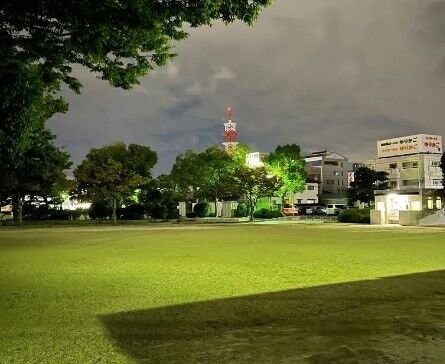 大元中央公園(公園)まで613m フェリスコート　Ａ棟