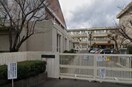 岡山市立伊島小学校(小学校)まで556m Aries伊福町