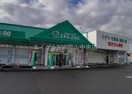 ザグザグ小山店(ドラッグストア)まで582m エスポアール高松