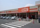 ザ・ビッグ岡山一宮店(ショッピングセンター/アウトレットモール)まで1196m Maison de Caramel