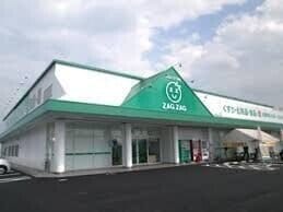 ザグザグ白石店(ドラッグストア)まで858m REGALEST 白石東新町