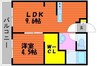 メゾン富田 1LDKの間取り