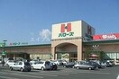 ザ・ダイソーハローズ江崎店(電気量販店/ホームセンター)まで1375m ガーデングラス桑野