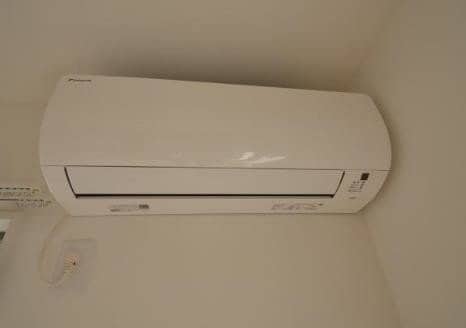  レイールプラス