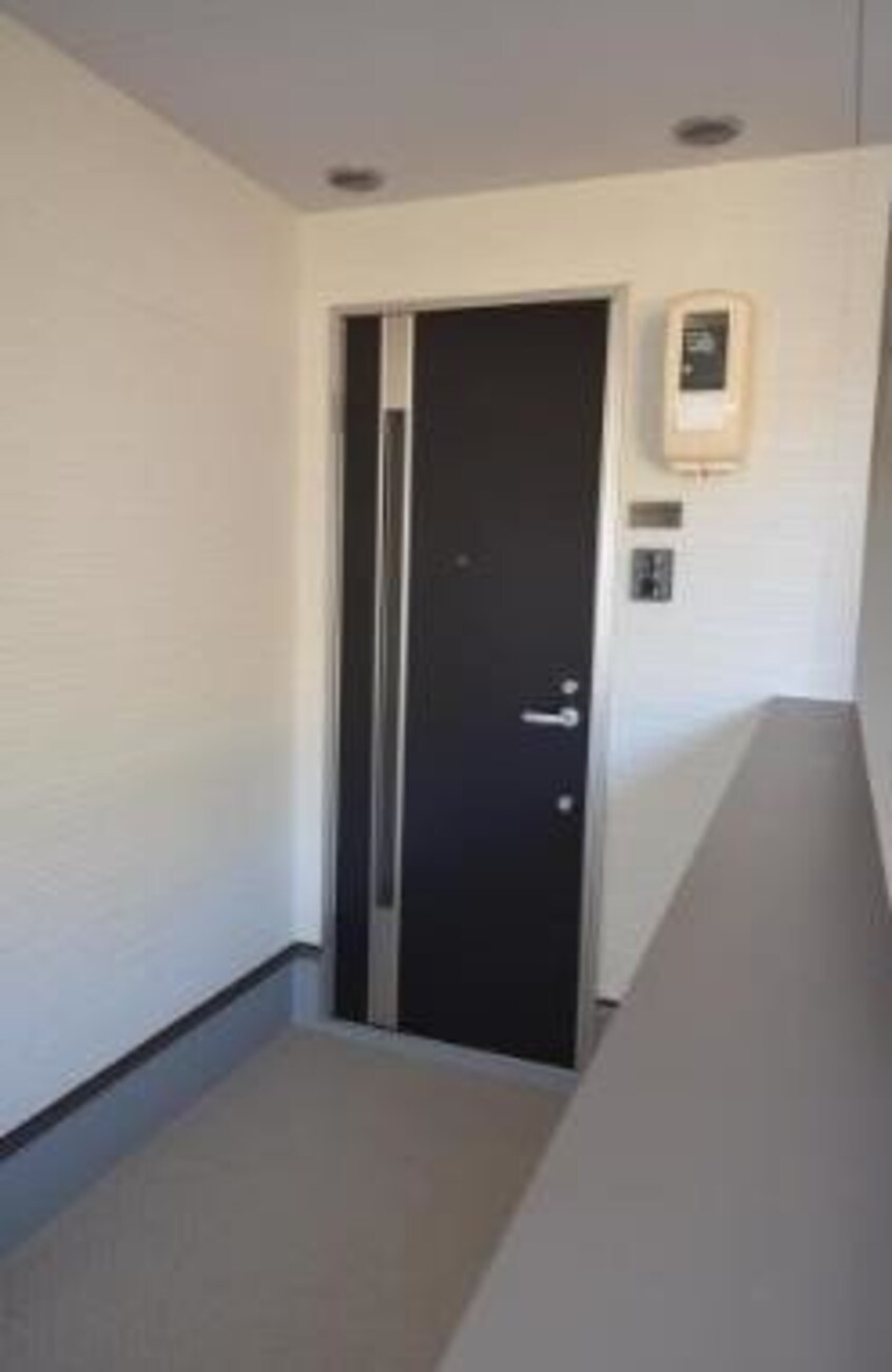  レイールプラス