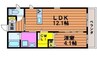 サルース 1LDKの間取り