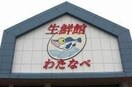 わたなべ生鮮館柳川いちば店(スーパー)まで696m 栄光ビル