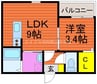 REGALEST NISHIZAKI 1LDKの間取り